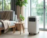 Un salon confortable avec un canapé douillet, une plante verte et un climatiseur mobile puissant pour un confort optimal.